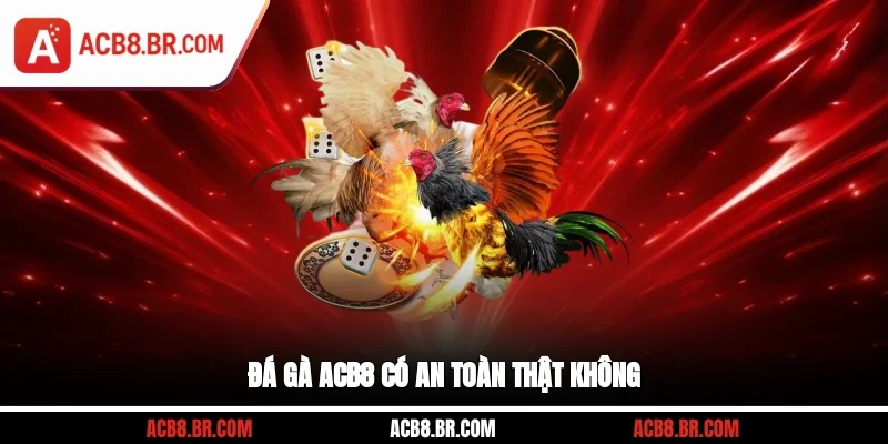 Đá gà ACB8 có an toàn thật không?
